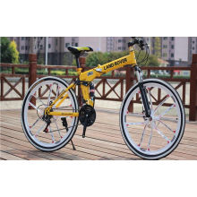 China Hot Sale Folding MTB